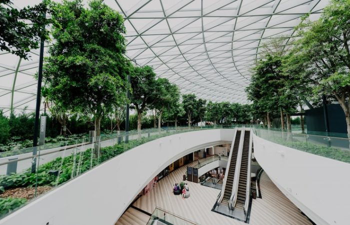 معماری بیوفیلیک طراحی داخلی 1 استودیو زیوان